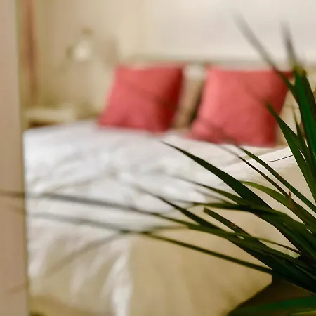 Apartment Cuarto Botanico - Shared Pool - Island Location - 10 Mins Drive To Famara And La Santa
