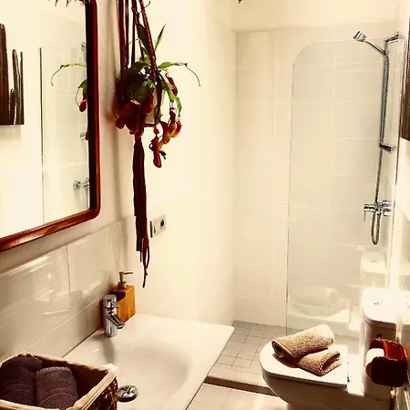 Cuarto Botanico - Shared Pool - Island Location - 10 Mins Drive To Famara And La Santa Tiagua