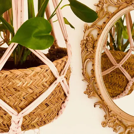 Cuarto Botanico - Shared Pool - Island Location - 10 Mins Drive To Famara And La Santa *