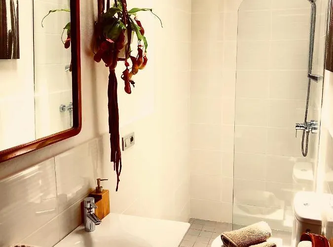 Cuarto Botanico - Shared Pool - Island Location - 10 Mins Drive To Famara And La Santa Tiagua